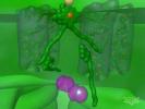 Photosynthesis (Light Reactions)
