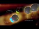 OXPHOS - Oxidative Phosphorylation
