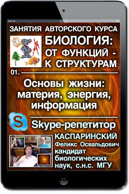 Skype-������������ �.�.������������� "�������, �������, ����������, �����. ������ ����������� ����� ������"
